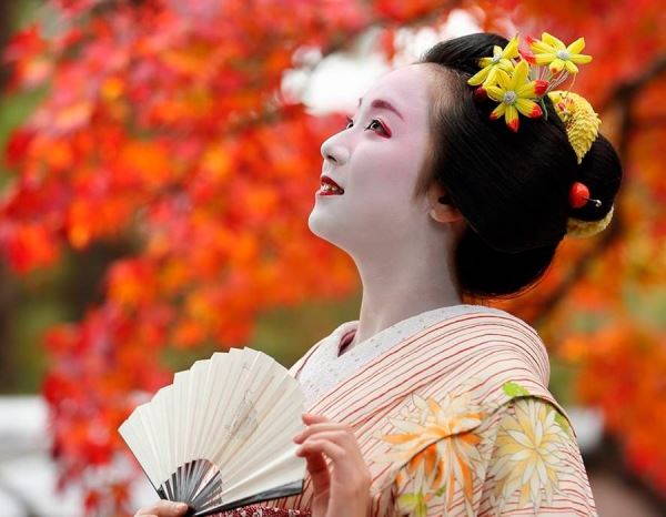 Японские украшения для волос - кандзаси